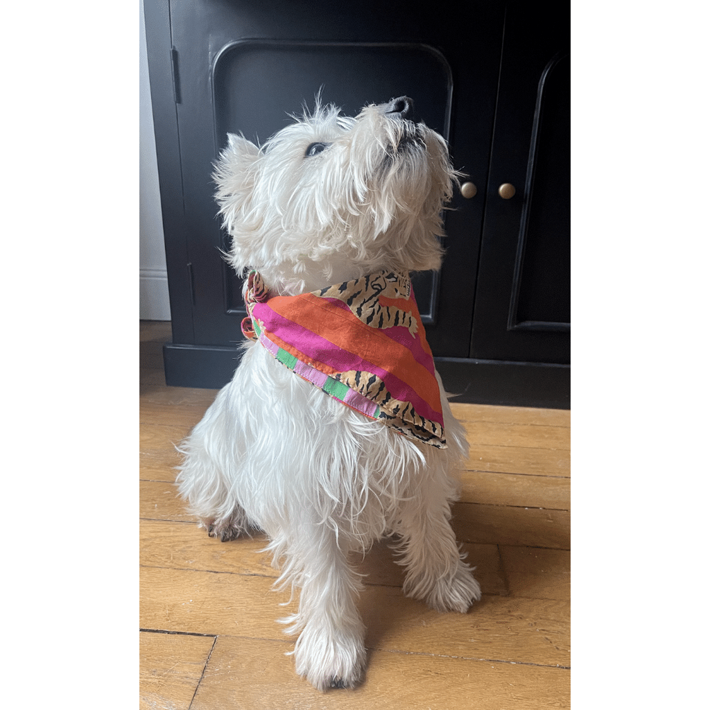 Bandana réversible Maran