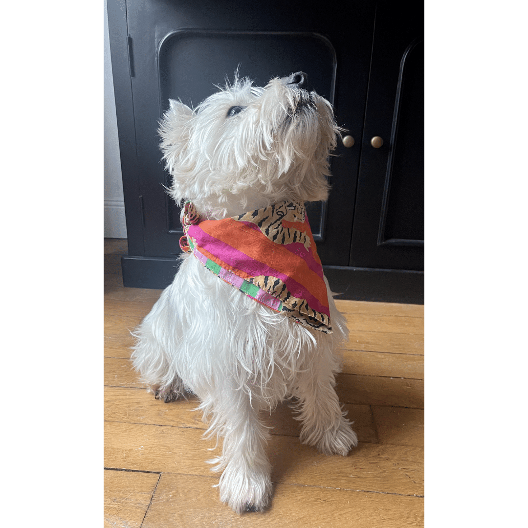 Bandana réversible Maran